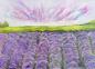 Preview: Lavender / Lavender - Buy abstract landscapes online